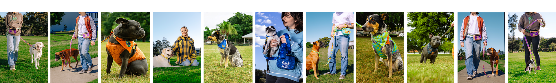 EB Games Exclusive Pet Range